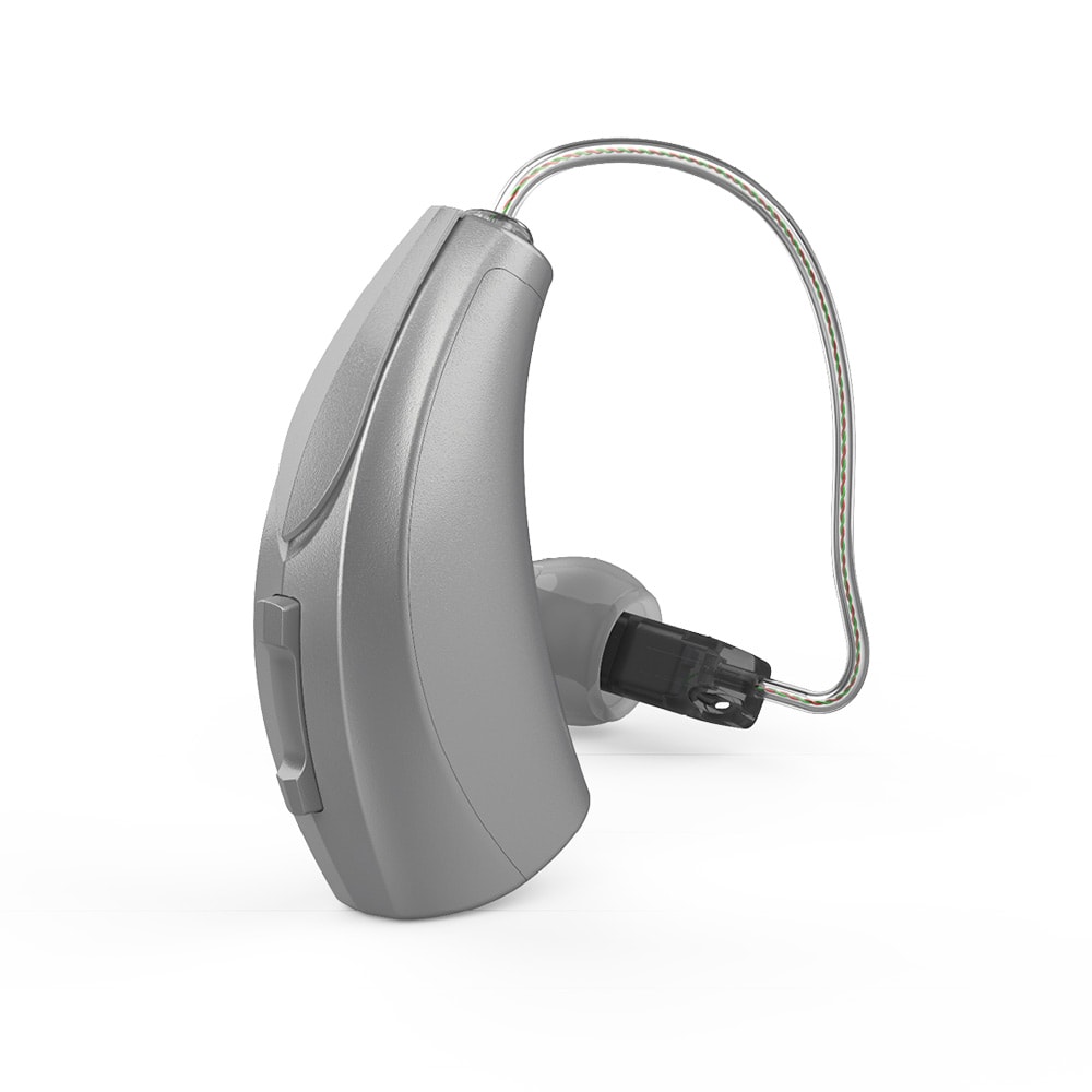 Livio Ric Rechargeable Hearing Aid In Sterling Color